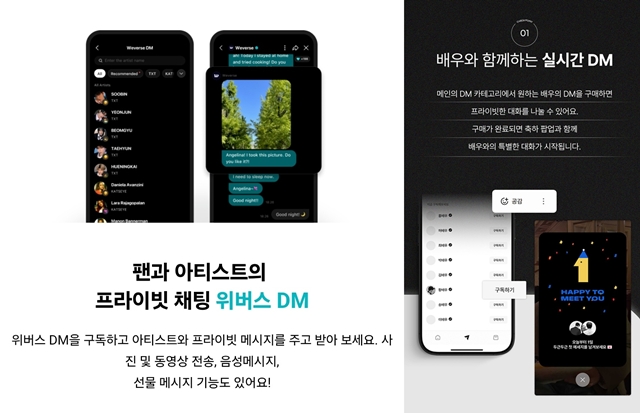 '버블'의 성공 이후 '위버스' DM(왼쪽), '하이앤드' 등 다양한 팬 소통 플랫폼이 등장했다. /공식 웹사이트 캡처