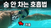  [인플루언서 프리즘] 수영장 매너부터 호흡법까지…'수린이' 맞춤 강의