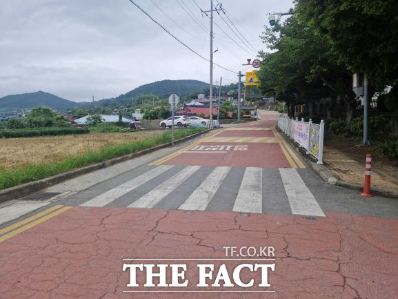 완도군 노화읍 노화초등학교 앞길. /노화초 교사 제공