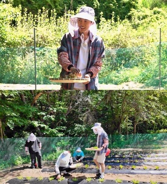 SBS '산골총각 영웅'이 지난 시즌 '섬총각 영웅'에 이어 이번에는 더 푸른 자연 속 산골로 무대를 옮겼다. 반려견 시월이와 절친 허경환, 현봉식, 조째즈까지 합류하며 웃음과 감동을 선사했다. /SBS '산골총각 임영웅'