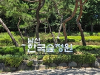  남산에 3만㎡ 한국숲정원 문 연다…27일 시민 개방