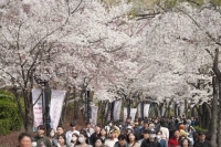  송파구, 전국 관광도시 경쟁력 1위…관광객이 직접 뽑았다