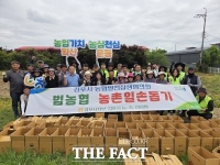  농협 김포시지부·새농민회 김포시지회, 감자 수확 일손돕기 실시
