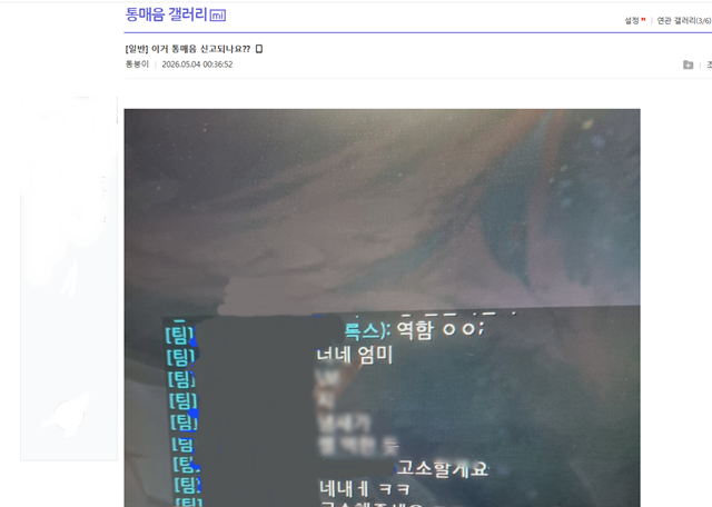실제로 온라인 커뮤니티 '디시인사이드'에는 '통매음 미니 갤러리'가 별도로 운영되고 있었다. 