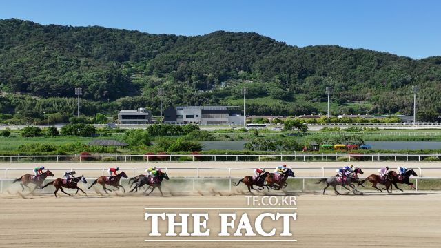 렛츠런파크 부산경남 경주 장면 /렛츠런파크 부산경남