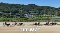  렛츠런파크 부산경남 7월 60개 경주…월말 전 사업장 휴장