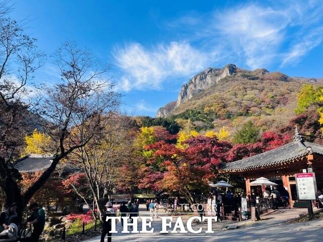 장성군 북하면 소재 백양사와 백암산 전경. /장성군