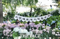  공주 '유구색동수국정원 꽃 축제' 성황…야간 콘텐츠·전통시장 연계 초점
