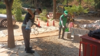  동작구, 여름철 해충 종합방역 가동…스마트 방제기술 도입