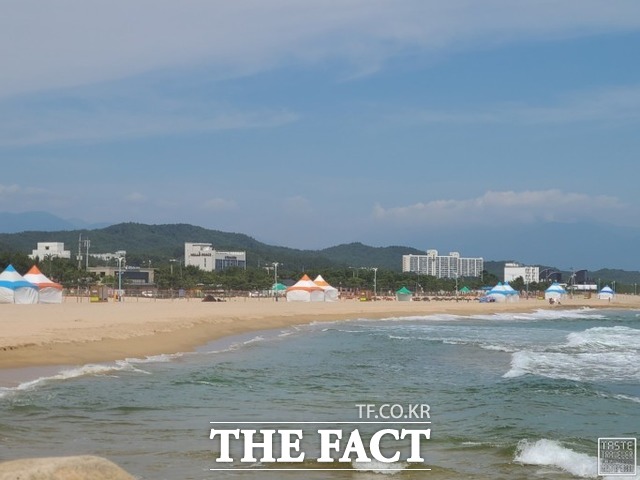 강원 강릉 앞바다에 상어가 출몰했다는 신고가 잇따라 접수됐다. 사진은 기사 내용과 관련이 없음. /더팩트 DB