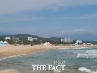  경포대 개장했는데…강릉 앞바다 '상어 출몰' 신고에 재난문자