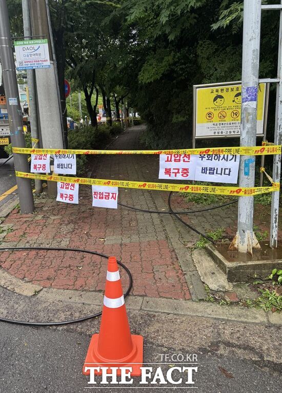 6일 오전 5시 50분쯤 전남광주시 남구 봉선동 일대에서 고압전선이 끊어져 한국전력공사가 긴급 보수 작업에 나섰다. /전남광주시 남구