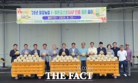  청양 멜론 본격 출하…전국 유일 'S급' 프리미엄으로 승부