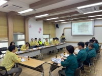  강동구서 소나무재선충병 감염목…서울시 긴급 대응