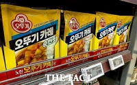  오뚜기, 카레·케첩 등 29개 품목 가격 인상…최대 17%↑