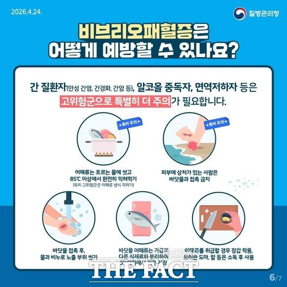당진시 비브리오패혈증 예방 수칙 홍보물. /당진시