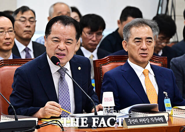 질의에 답변하는 위철환 중안선관위원장 직무대리.