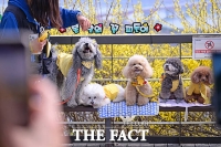  판례는 '가족', 민법은 '물건'…정부, 동물 비물건화 재논의