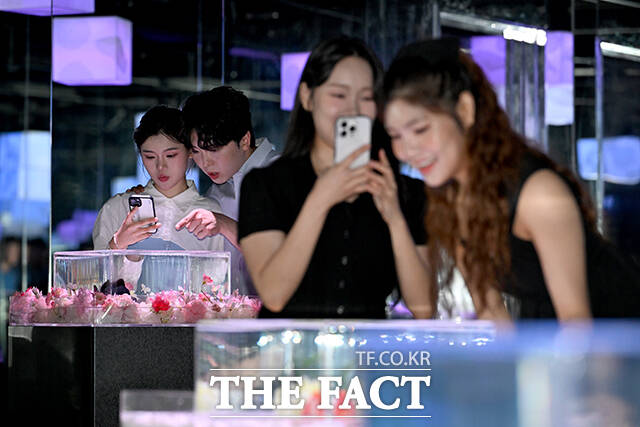 롯데월드 아쿠아리움이 신규 전시 공간 '아쿠아 갤러리: 물빛정원' 개장을 앞둔 가운데 모델들이 15일 오전 서울 송파구 롯데월드 아쿠아리움 내 전시공간에서 수조 속 담수어를 바라보고 있다. /박상민 기자