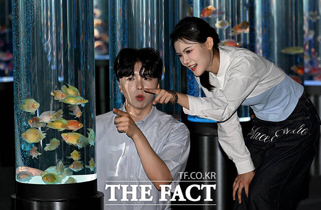 롯데월드 아쿠아리움이 신규 전시 공간 '아쿠아 갤러리: 물빛정원' 개장을 앞둔 가운데 모델들이 15일 오전 서울 송파구 롯데월드 아쿠아리움 내 전시공간에서 수조 속 담수어를 바라보고 있다. /박상민 기자