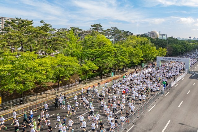 현대자동차가 친환경 러닝 캠페인 '포레스트런 2026' 참가자 6500명을 모집한다. 지난해 진행된 현대자동차 '포레스트런 2025 파이널런' 참가자들이 서울 여의도 일대를 달리는 모습. /현대차