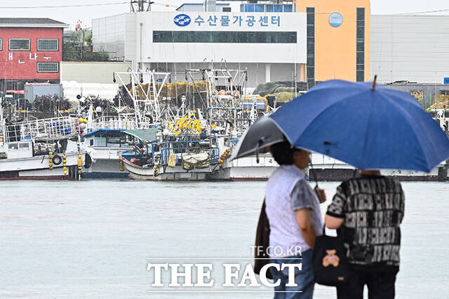 전국에 장맛비가 내린 20일 오후 인천 제물포구 인천항 연안여객터미널 부두에 어선들이 정박해 있다. /인천=김성렬 기자