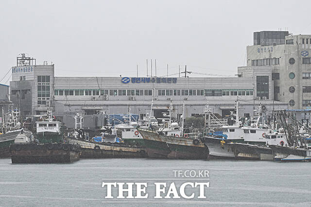 전국에 장맛비가 내린 20일 오후 인천 제물포구 인천항 연안여객터미널 부두에 어선들이 정박해 있다. /인천=김성렬 기자