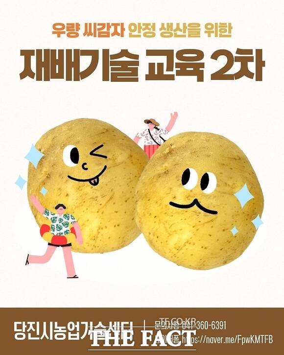 당진시 가을 재배용 건전 씨감자 재배기술교육 홍보 포스터. /당진시