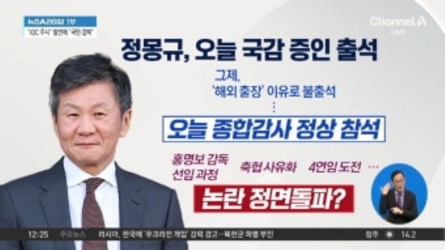 2024년 10월 정몽규 축구협회장은 국회 국정감사에 증인으로 출석해 국가대표 감독선임, 4연임 도전 등과 관련해 해명하느라 곤욕을 치른 바 있다. 월드컵 참사가 발생하기 전 축구계, 혹은 체육계 내부적으로 문제를 바로잡을 기회가 있었지만 이를 놓친 것이다. 사진은 당시 <채널A>의 관련보도 장면. / 화면 캡처