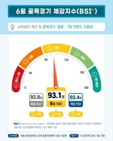  6월 서울 소상공인 체감경기·매출 소폭 반등…소득은 감소