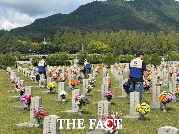 대한적십자사 대전세종지사 대학적십자(RCY) 회원 12명이 29일 국립대전현충원에서 '나라사랑 현충원 봉사활동'을 펼쳤다. /대한적십자사 대전세종지사