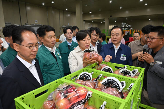송미령 농림축산식품부 장관이 영주농산물유통센터에서 여름사과 산지 유통 운영 현황을 점검하고 있다. /영주시