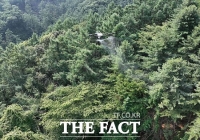  경기도, '소나무재선충병' 피해 규모·지역별 특성 맞춤 광역방제 진행