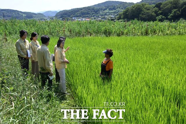우성빈 기장군수가 5일 철마면 웅천리를 찾아 가뭄 피해 상황과 농업용수 공급 현황을 점검하고 있다. /기장군청