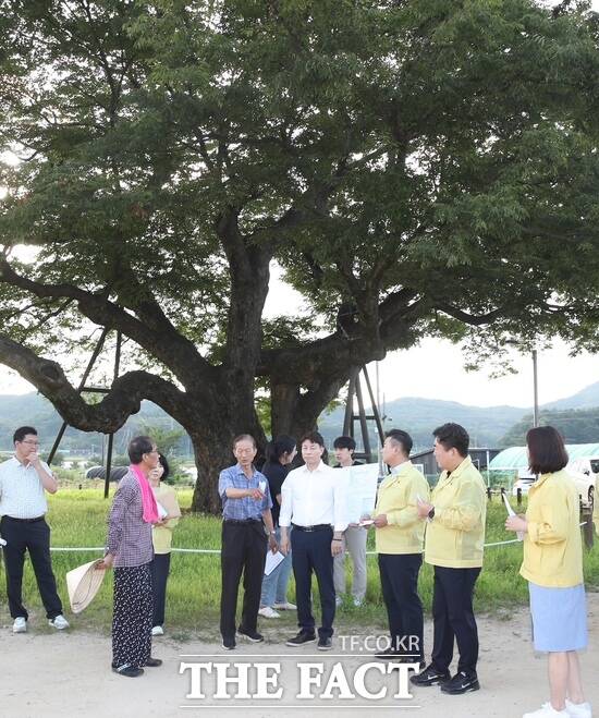 전문학 대전시 서구청장이 6일 천연기념물(제545호)인 '괴곡동 느티나무' 종합정비사업 현장을 방문 점검하고 있다. /대전 서구