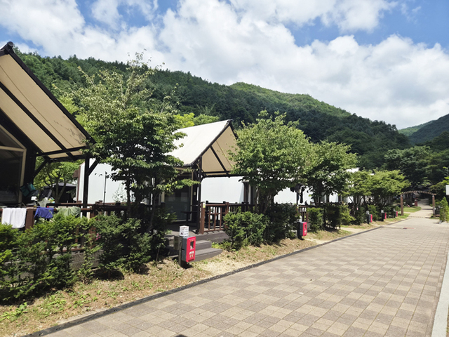 소백산 삼가야영장 전경. /소백산국립공원사무소