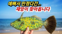  [인플루언서 프리즘] 