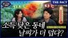  [미스터리경제] 서울 소득 낮은 동네가 더 덥다? (영상)