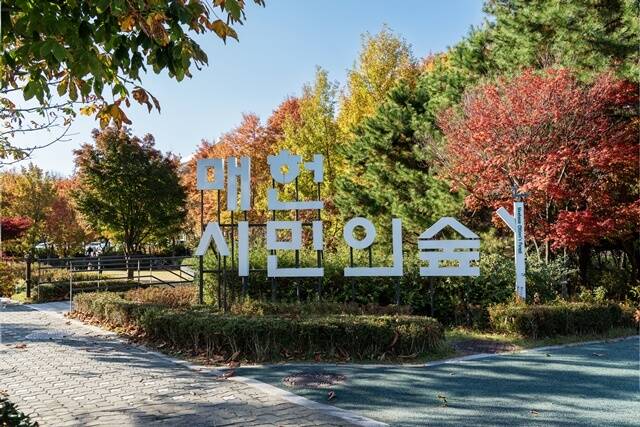 서울시가 오는 10월 1일부터 27일까지 매헌시민의숲에서 개최되는 2026 서울국제정원박람회 가을 행사를 앞두고 50여 개 정원 조성을 위한 공사를 추진한다. /서울시