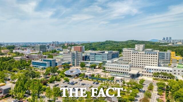 전북대학교병원 본원 전경. /전북대병원