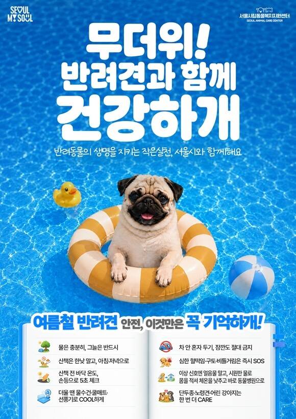 서울시는 11일 반려동물의 온열질환 예방을 위한 여름철 안전수칙을 안내하고 보호자들의 주의를 당부했다. /서울시