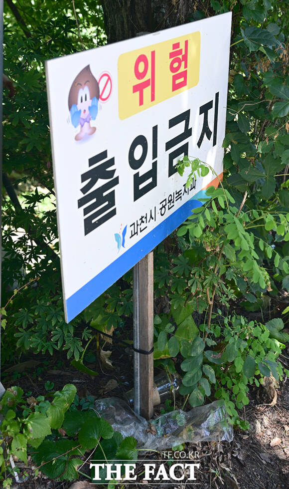 안내 표지판 아래도 숨겨진 일회용 쓰레기.