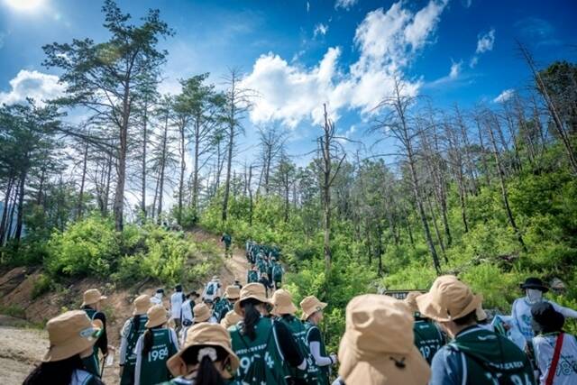 유한킴벌리는 대학생들과 함께 기후위기와 숲 환경 문제를 직접 체험하고 해결 방안을 모색하는 '2026 그린캠프'를 성료했다고 12일 밝혔다. /유한킴벌리