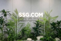  SSG닷컴, 7월 그로서리 매출 12%↑…'온라인 장보기' 성과 가시화