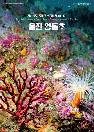 울진 왕돌초. /울진군