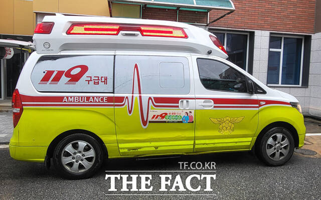 12일 오전 경북 안동시 송현동 송현초등학교 앞 육교에서 추락사고가 발생해 30대 여성이 크게 다쳤다. 사진은 기사와 직접적인 관련 없음. /더팩트 DB