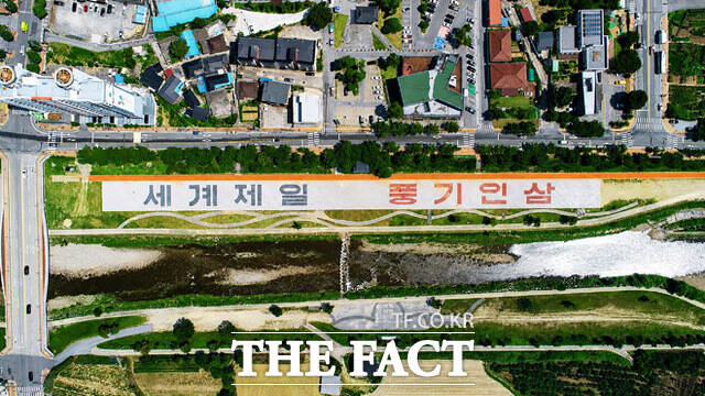정비가 완료된 영주시 풍기읍 남원천 하천 둔치 항공 사진. /영주시