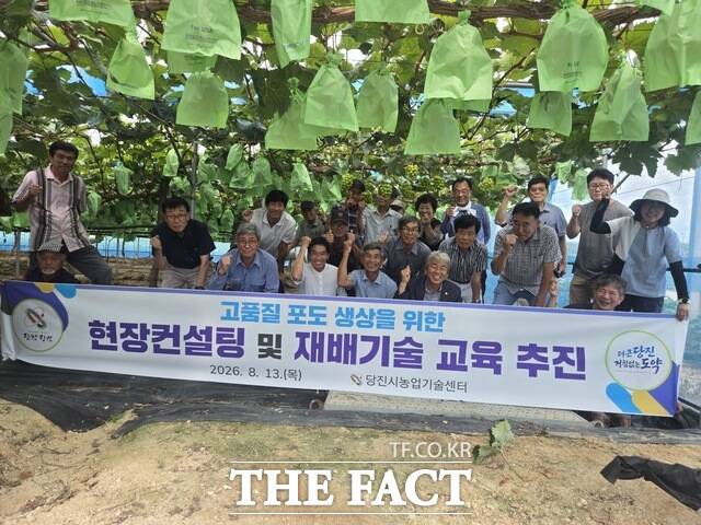 당진시는 13일 고품질 포도 생산을 위한 현장 컨설팅 및 재배기술 교육을 실시했다. /당진시