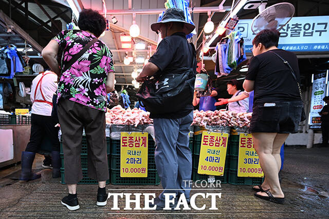 삼복 중 말복인 14일 오전 서울 동대문구 청량리시장을 방문한 시민들이 삼계탕용 닭을 구매하고 있다. /송호영 기자