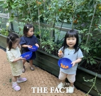  작은 씨앗에서 피어난 아이들의 '건강한 꿈'…브레인아이어린이집 텃밭 활동 눈길
